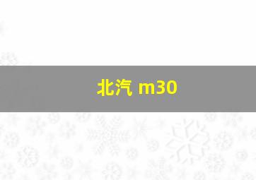 北汽 m30